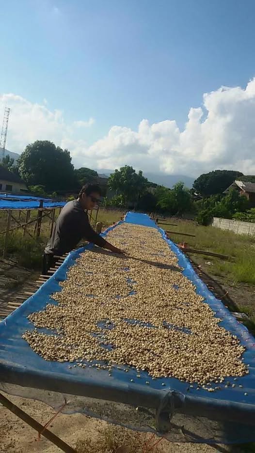 Coffee Cherry Innovations